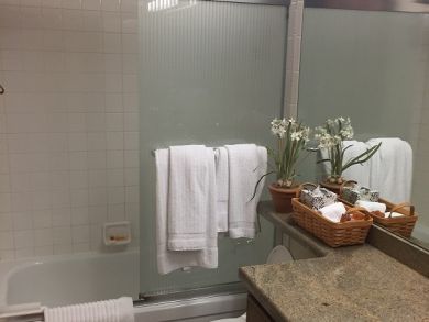 Vail Lionshead Condo 896244